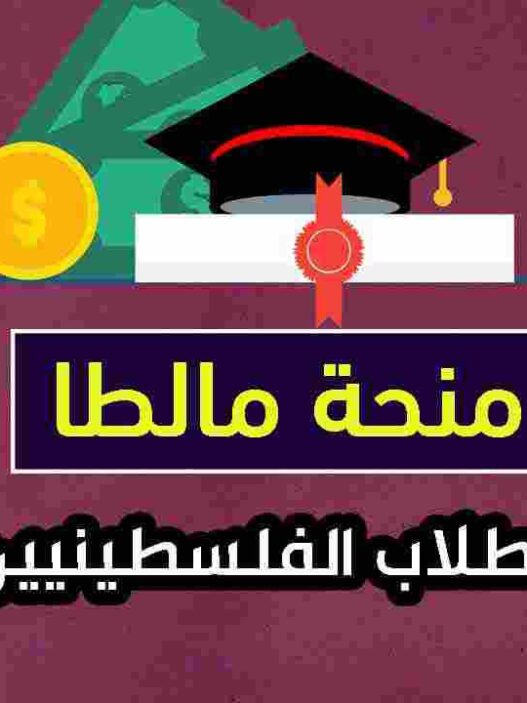 منح دراسية للطلاب الفلسطينيين مقدمة من جامعة مالطا 2025-2026