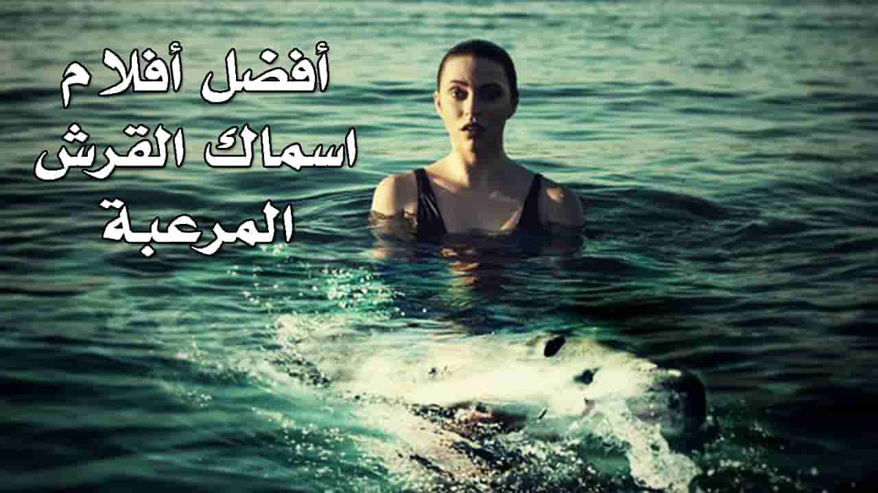 أفضل أفلام سمك القرش التي لا يمكنك تفويتها ( افضل 20 فيلم عن اسماك القرش )